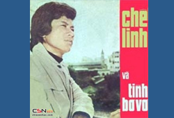 Chế Linh <br> Tình Bơ Vơ Pre 75